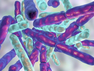 Symptomatic Relief from SIBO with L. salivarius UCC118 Strain