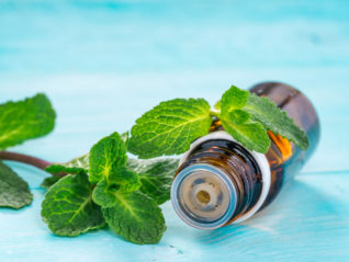 Clinical Use of Peppermint for GI Health