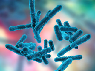 Probiotic Therapy Influence on Healthy Microbiome