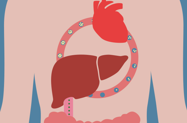 Hiding in plain sight: HDL dysfunction