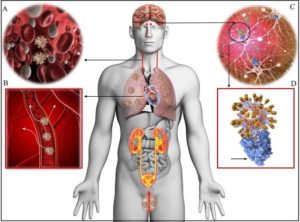 SARS-CoV-2 Effects in the Central Nervous System 