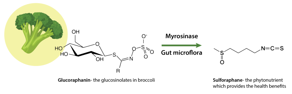 Sulforaphane