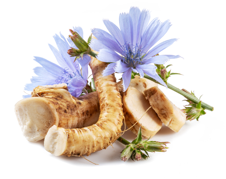 Chicory flowers