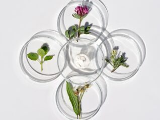 The Science of Balance: How Nature’s Bioactive Compounds Support Women’s Health from Within The Science of Balance: How Nature’s Bioactive Compounds Support Women’s Health from Within