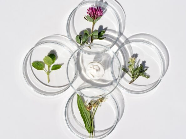 The Science of Balance: How Nature’s Bioactive Compounds Support Women’s Health from Within