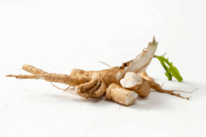 Close-up of fresh chicory root and sliced pieces, a natural source of inulin-type prebiotic fiber used to support gut microbiota and digestive health.