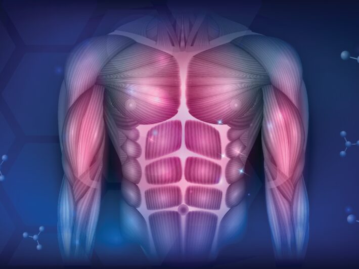 GLP-1 Receptor Agonists and Sarcopenia